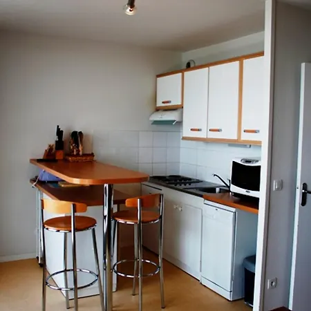 6 Pers Proche Pistes Et Commerces - Fr-1-814-95 Besse-et-Saint-Anastaise